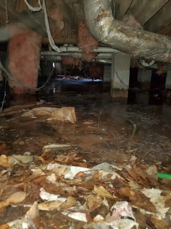 Crawl space flood assessment for Commercial Water Damage Restoration in Longview